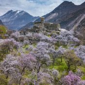 Tailor-Made Journeys 1 4. Blossom Altit fort