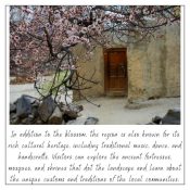 Blossom Hunza