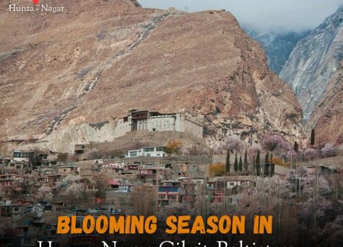 Hunza Valley Spring Blossom Tour 10 Days