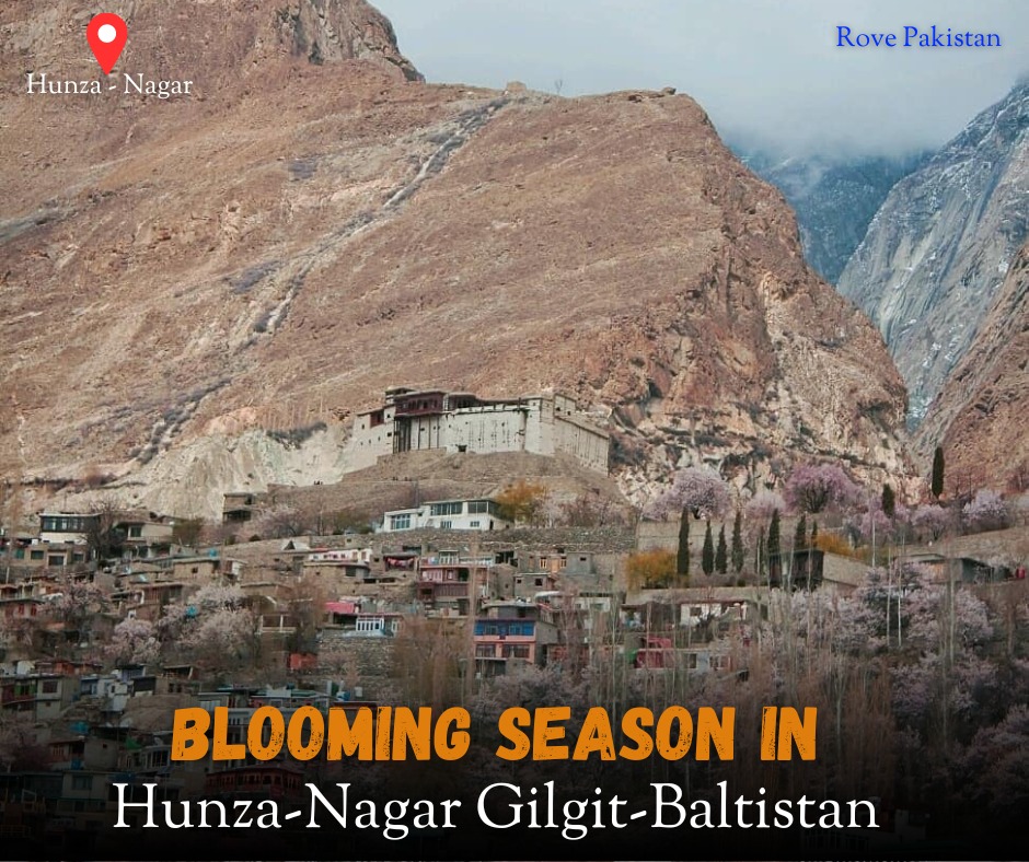 Hunza Valley Spring Blossom Tour 10 Days