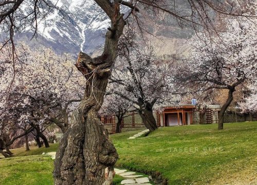 Hunza Valley – Gilgit & Skardu Valley Tour 9 Days