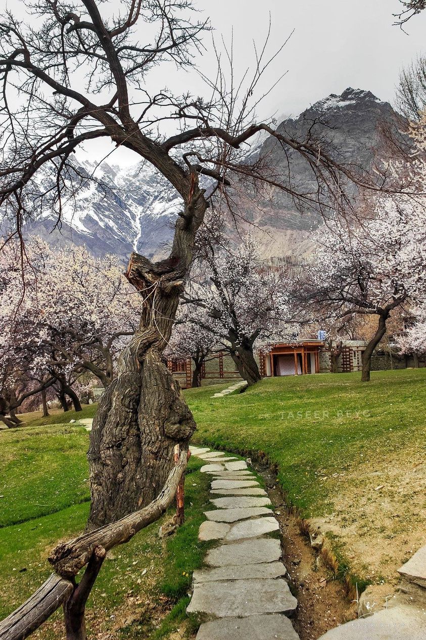 Hunza Valley – Gilgit & Skardu Valley Tour 9 Days