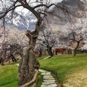 Tailor-Made Journeys 5 Blossom in Altit